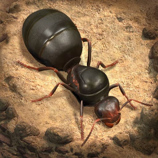 خرید شارژ The Ants: Underground Kingdom | واریز خودکار