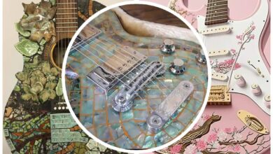 گیتارهای خاص guitar